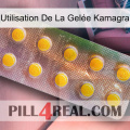 Utilisation De La Gelée Kamagra new11